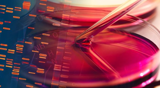 طراحی سه‌بعدی با DNA