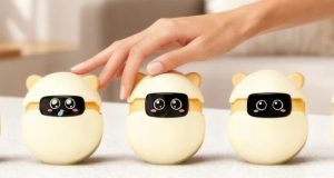 حیوان خانگی هوشمند Sweekar