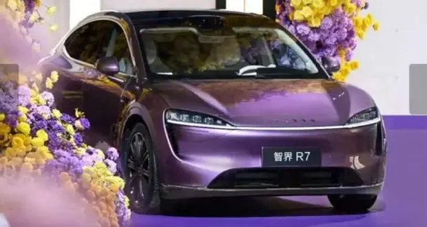 ورشکستگی خودروسازی برقی چین