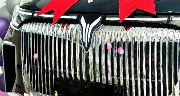 ورشکستگی خودروسازی برقی چین