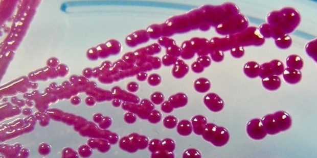 عملیات Sea Spray