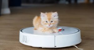 بهترین برند جاروبرقی رباتیک