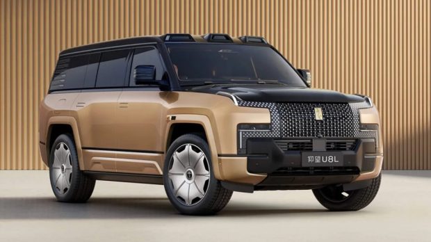 یانگ وانگ U8L