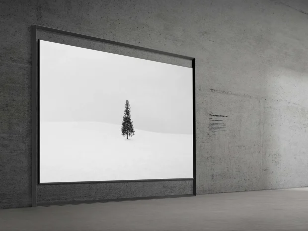 تلویزیون Micro RGB ۱۳۰ اینچی سامسونگ