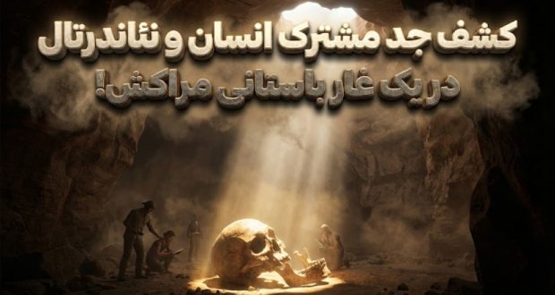 جد مشترک انسان و نئاندرتال