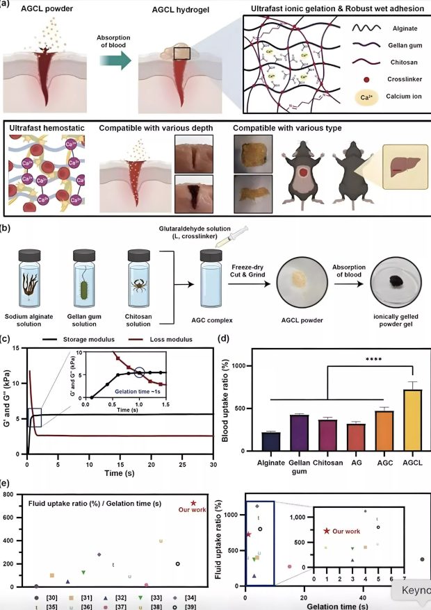 پودر اسپری بندآورنده خونریزی