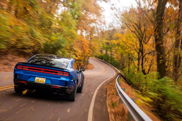 فورد ماوریک Lobo