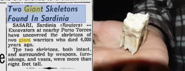 مجسمه های غول پیکر