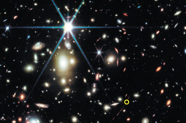 ستارگان دایناسور