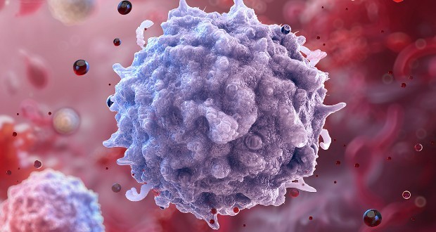 جوانسازی سیستم ایمنی