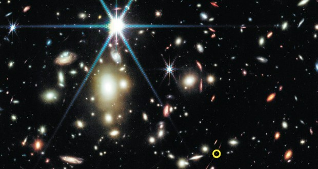 ستارگان دایناسور