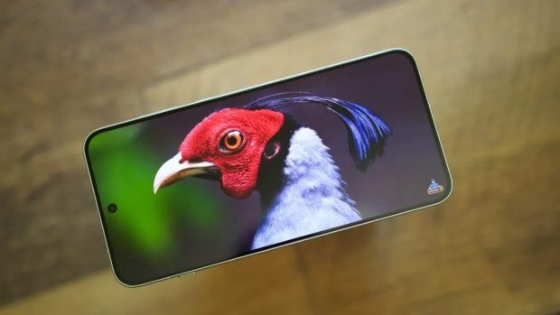 نقد و بررسی نمایشگر وان پلاس 15R