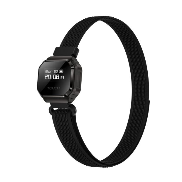 روگبید فیوژن