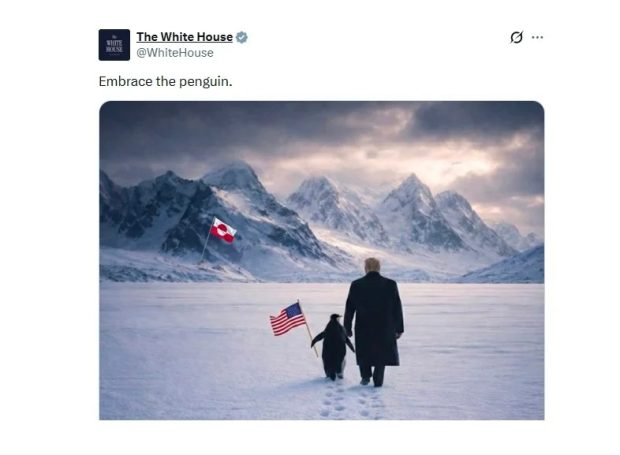 لباس استتار پنگوئن