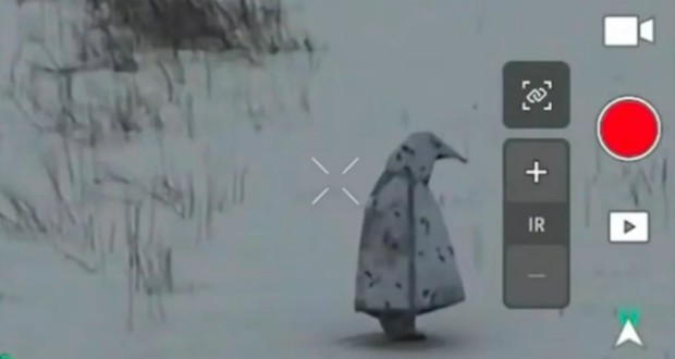 لباس استتار پنگوئن