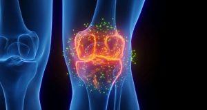 رشد مجدد غضروف