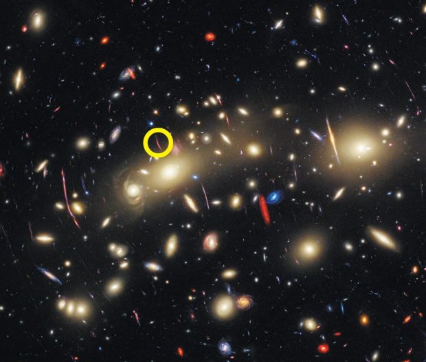 ستارگان دایناسور