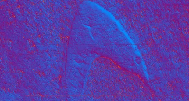 لوگوی استارفلیت مریخ