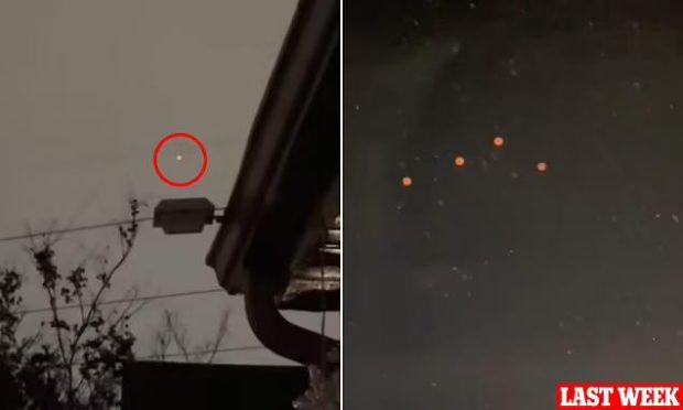 گوی نارنجی ناشناس