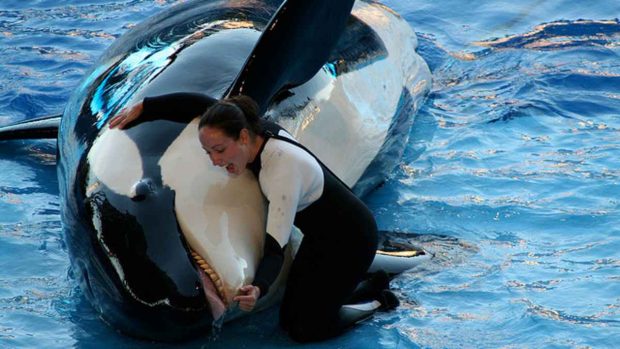 فیلم های تاثیرگذار