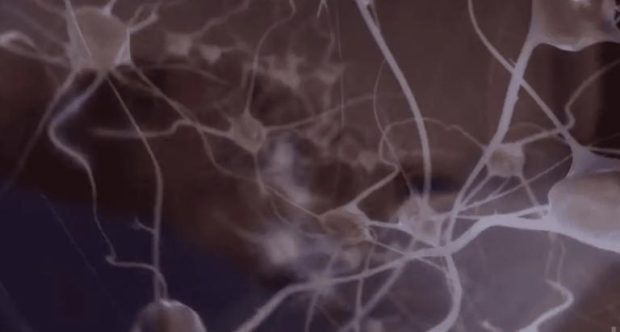 بازنویسی کدهای ژنتیکی