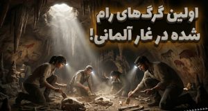 اهلی شدن گرگ‌ها