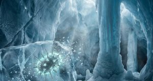 باکتری یخ‌زده