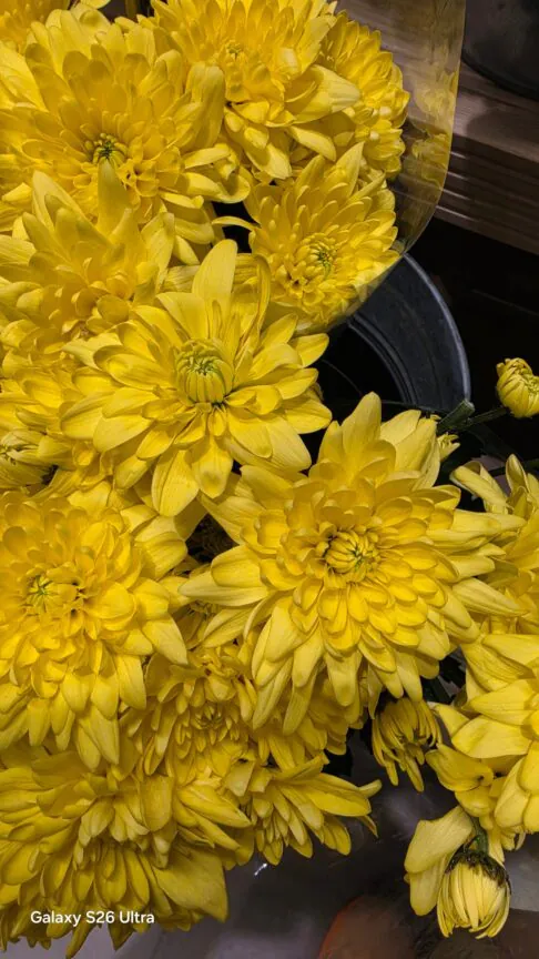 دوربین گلکسی S26 اولترا