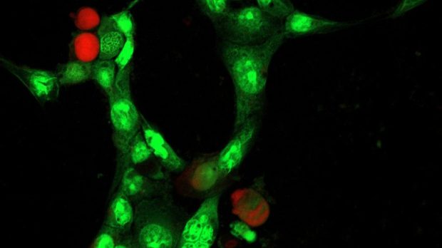 جالب‌ترین قطعات فناوری که به فضا فرستاده شده‌