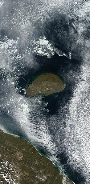 آخرین ماموتهای پشمالو چگونه منقرض شدند