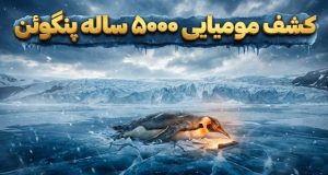 مومیایی پنگوئن