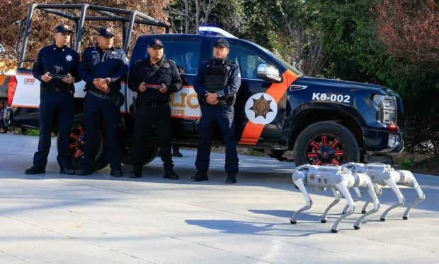 سگ‌های رباتیک جام جهانی