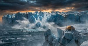 آب شدن برف‌ها در قطب