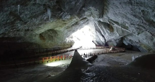 باکتری یخ‌زده