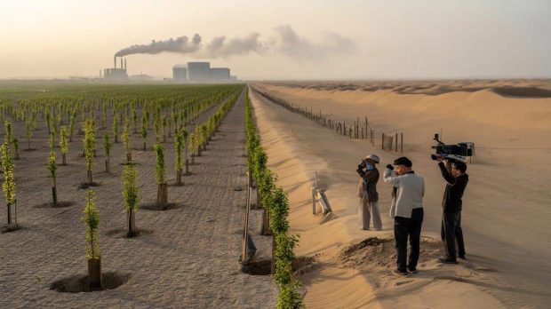 پروژه یک میلیارد درخت چین