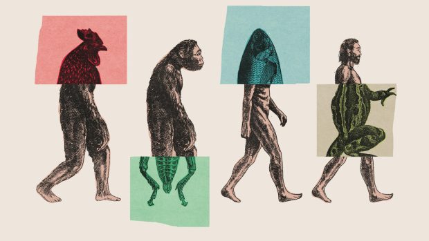 انقلاب در نظریه تکامل