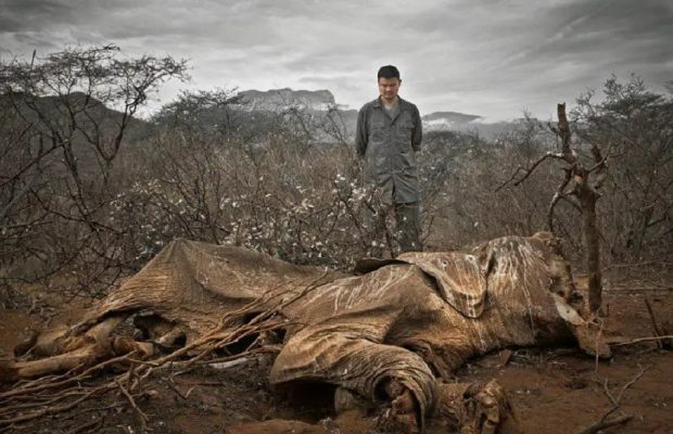 فاجعه زیست‌محیطی