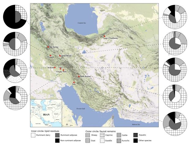 مصرف لبنیات در ایران باستان