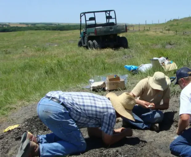 کوسه غول پیکر