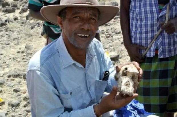 استرالوپیتکوس آنامنسیز