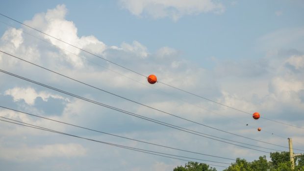 توپ‌های نارنجی روی خطوط برق
