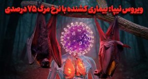 ویروس نیپا