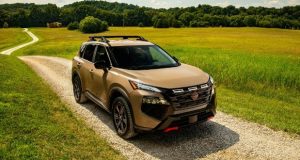 فراخوان نیسان روگ