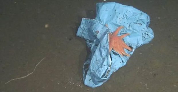 فاجعه زیست‌محیطی