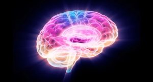 جوان‌سازی سلول‌های مغز