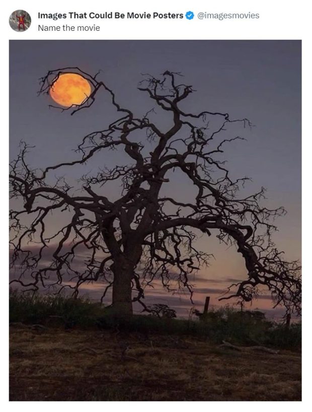 تصاویر شگفت‌انگیز