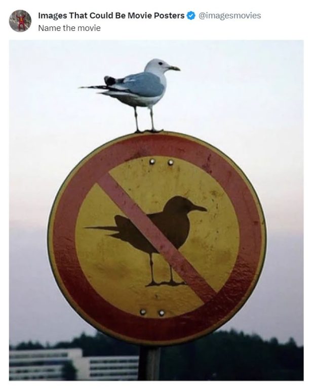 تصاویر شگفت‌انگیز