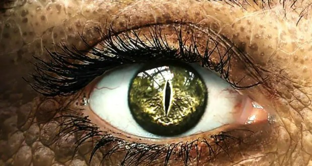 انسان‌های سمی