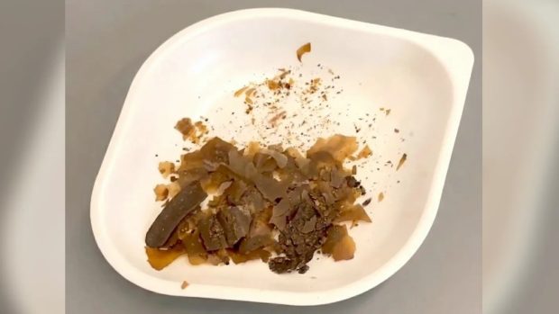 مدفوع انسان به عنوان دارو