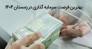 بهترین فرصت سرمایه‌گذاری در زمستان ۱۴۰۴